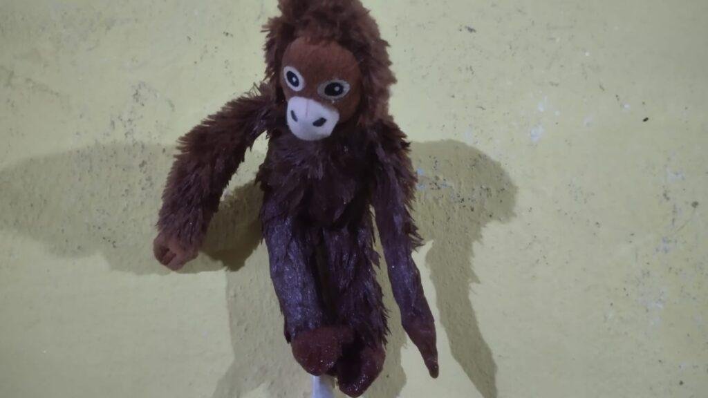 Momo monyet kecil Ayu